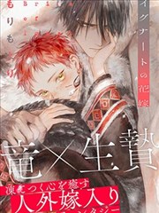 角色图鉴栏目缩略示意
